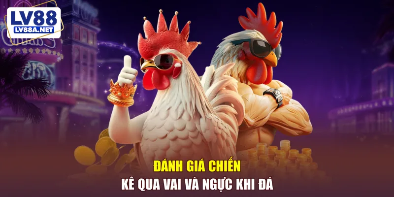 Đánh giá chiến kê qua vai và ngực khi đá